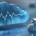FAQ sur la certification HDS : Tout ce que vous devez savoir